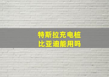 特斯拉充电桩 比亚迪能用吗